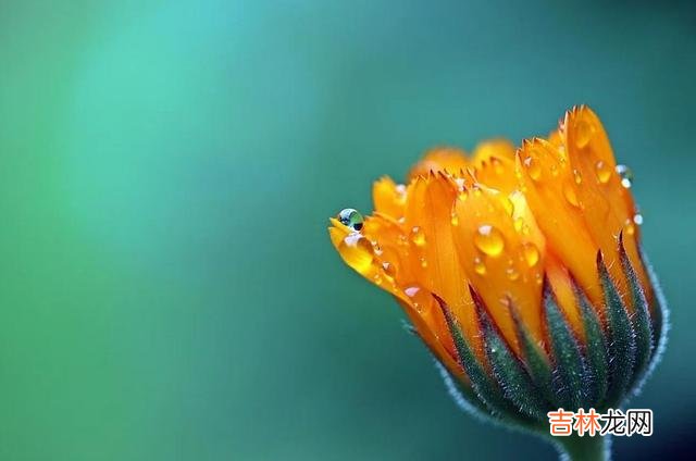 不管是在恋爱中 女人没有钱真的太痛苦了，生活的幸福指数会非常低