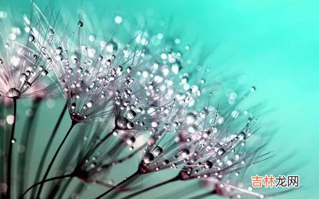 不管是在恋爱中 女人没有钱真的太痛苦了，生活的幸福指数会非常低