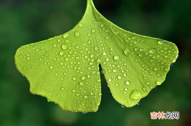 不管是在恋爱中 女人没有钱真的太痛苦了，生活的幸福指数会非常低