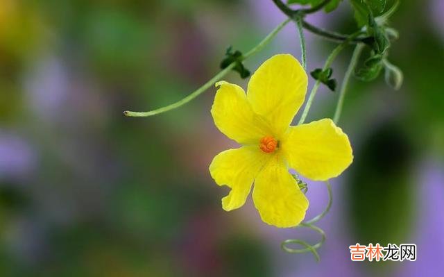 男人的承诺 单身的孤独并不可怕,可怕的是恋爱后的孤独