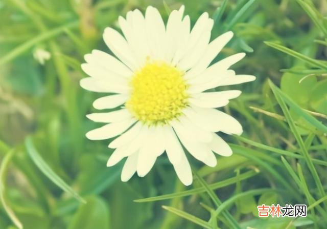 男人的承诺 单身的孤独并不可怕,可怕的是恋爱后的孤独