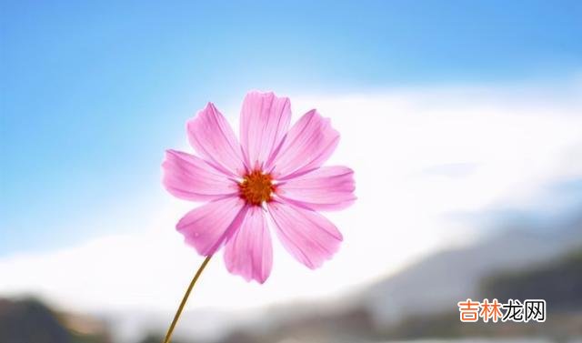 男人的承诺 单身的孤独并不可怕,可怕的是恋爱后的孤独