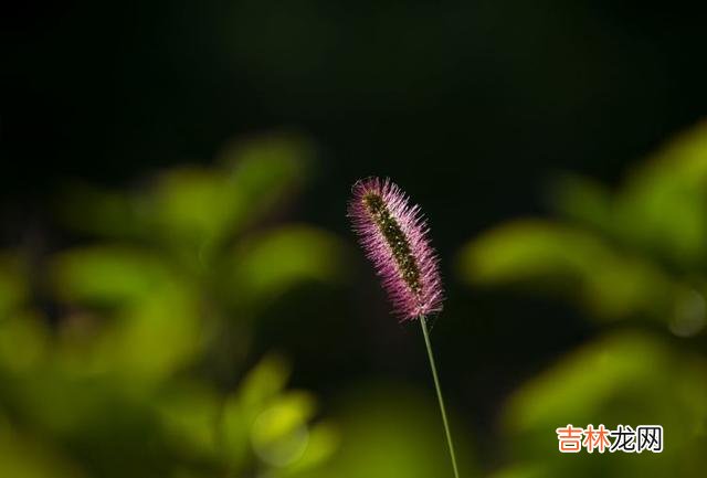 谈钱 好好赚钱真的太重要了，手里有钱，心中不慌