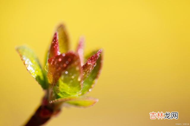 这世上 一个人，只要心中有热爱，眼里就会闪耀着光芒