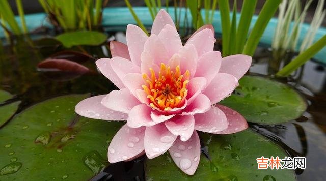 人生没有彩排 未来的路有多难走，也只有你自己最明白