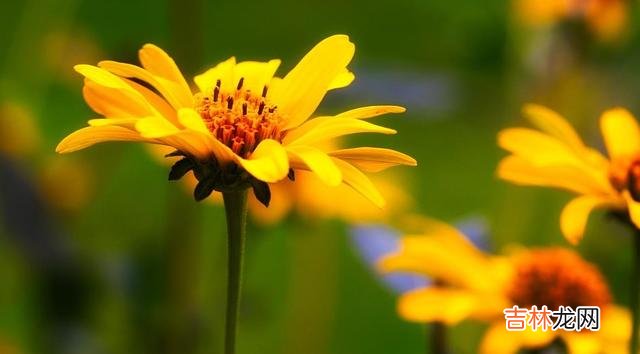 这世间 其实，在爱情中，彼此最大的愚蠢，就是强行在一起