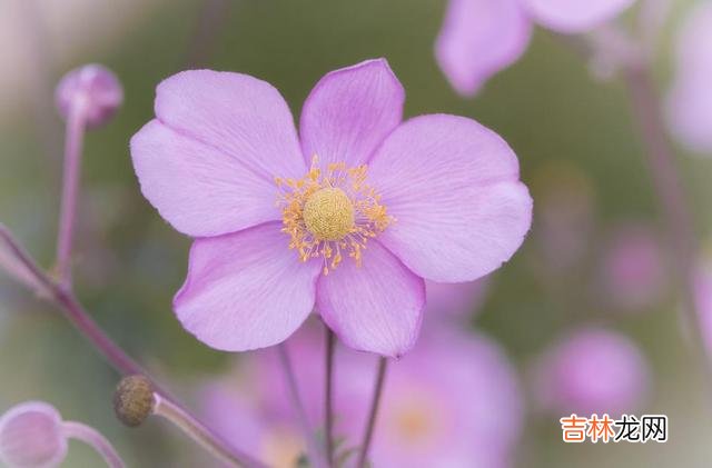 这世间 其实，在爱情中，彼此最大的愚蠢，就是强行在一起