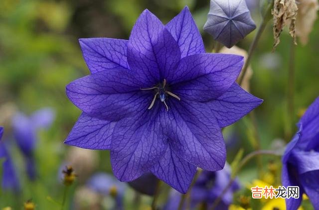 这世间 其实，在爱情中，彼此最大的愚蠢，就是强行在一起