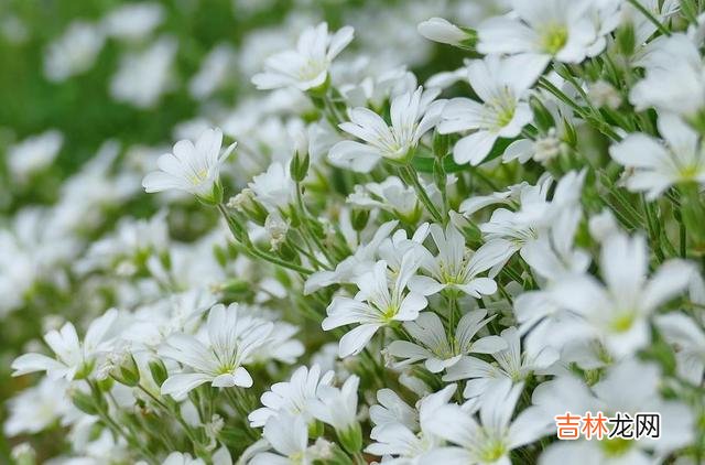 这世间 其实，在爱情中，彼此最大的愚蠢，就是强行在一起