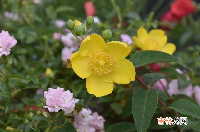 这世间 其实，在爱情中，彼此最大的愚蠢，就是强行在一起