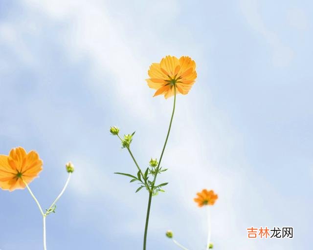 相爱的人 相比较爱，懂，才是这世间最美的情话
