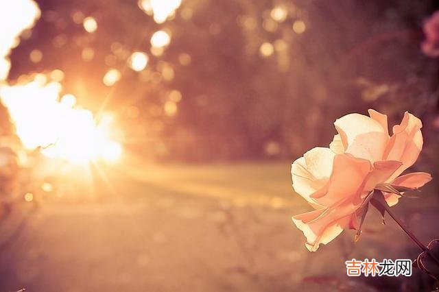相爱的人 相比较爱，懂，才是这世间最美的情话