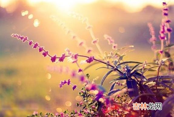 相爱的人 相比较爱，懂，才是这世间最美的情话