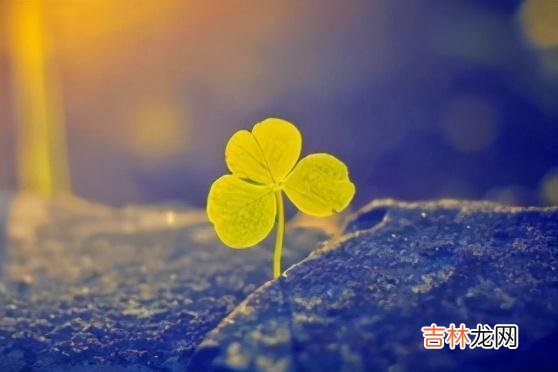 相爱的人 相比较爱，懂，才是这世间最美的情话