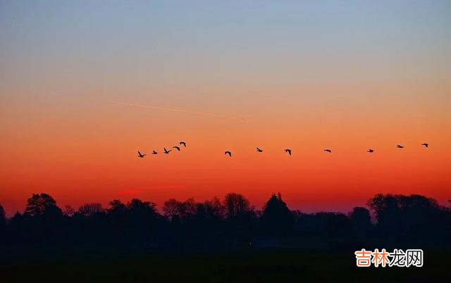 无论影视剧中 走心地爱一个人时,确实会让人的胆子变小