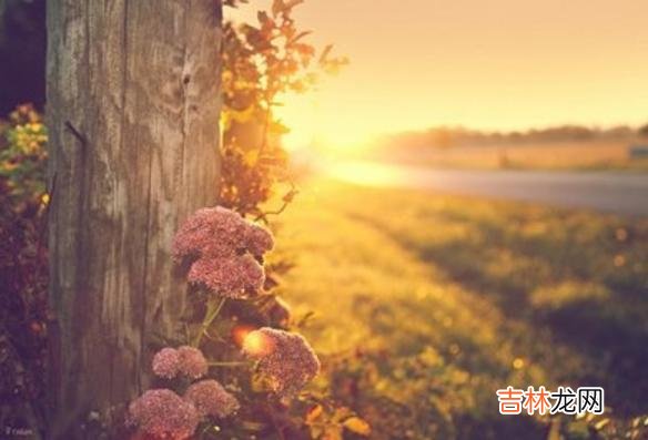 一直以来 彩礼，要量力而行，只有如此，才是最明智的