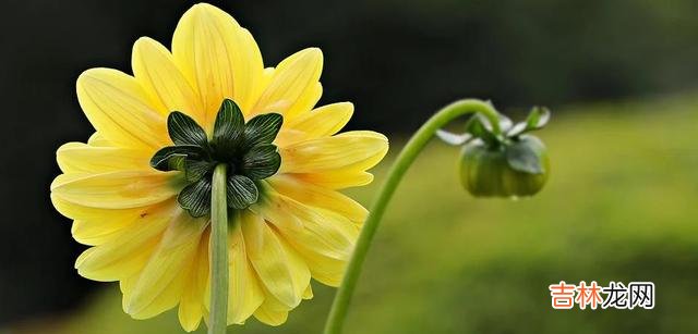 世人皆向往爱情的美好 因为心里有你,他想把自己的余生都给你