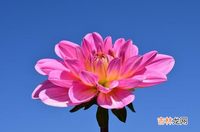 世人皆向往爱情的美好 因为心里有你,他想把自己的余生都给你