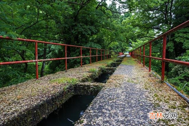 生命来来往往 要记住，不论伤害还是帮助你的人，都是来渡你的人