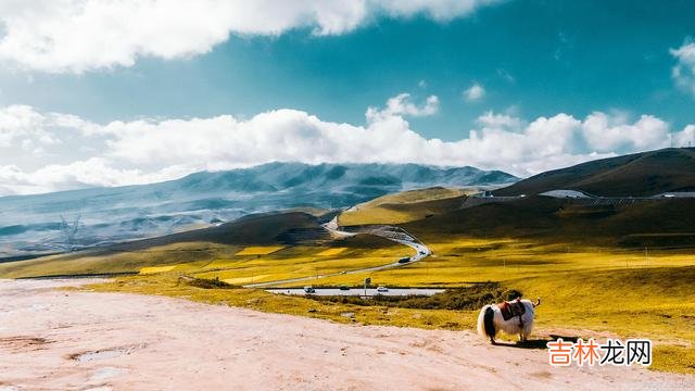 生命来来往往 要记住，不论伤害还是帮助你的人，都是来渡你的人