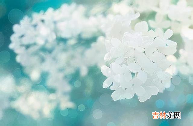 前两天 与其靠别人，真不如提升自己