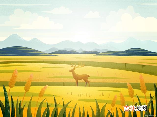 爱 男人的不爱，很简单，不爱就是不爱，没有为什么