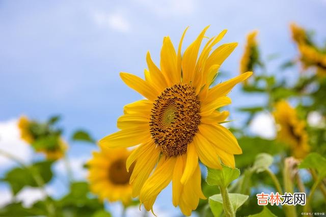 你和我 男人的这一生，最亏欠的人，其实就只有一个，那就是自己