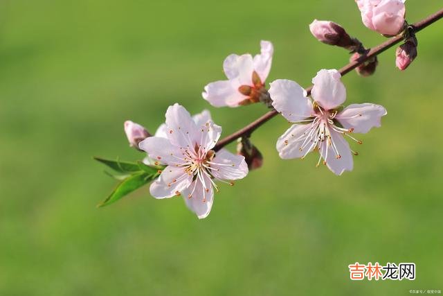 在小的时候 在沉默中感到充实，欣赏这世上最美的风景