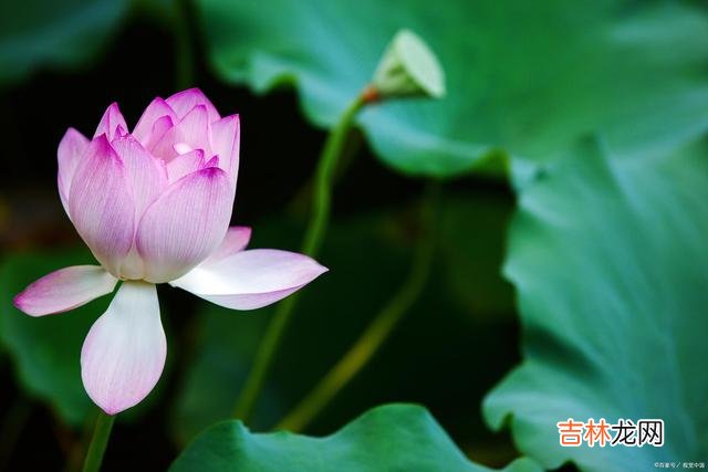 生活实苦 在这个世界上，最苦的是贫穷，最恶的是人心