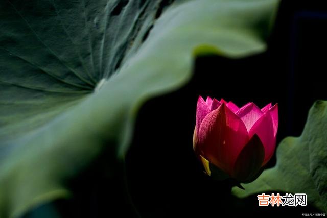 生活实苦 在这个世界上，最苦的是贫穷，最恶的是人心