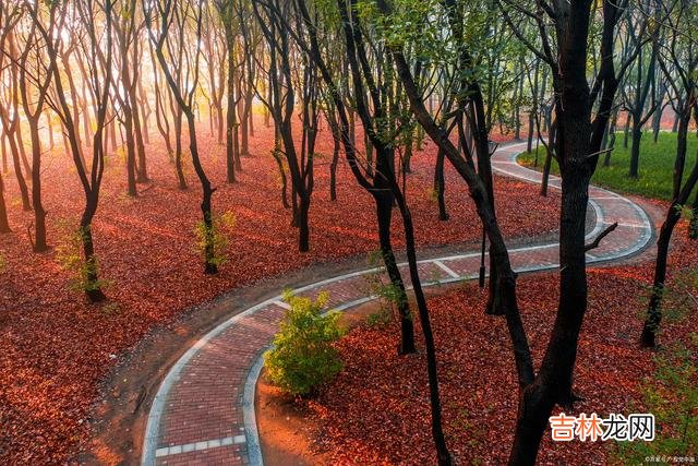 成年人的世界里 人与人之间的相处,看似简单,实则很复杂