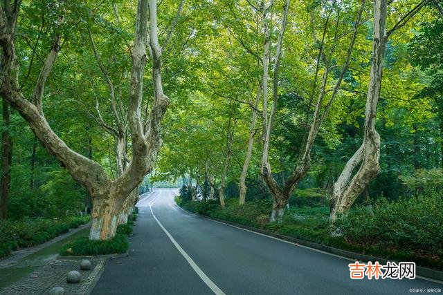 成年人的世界里 人与人之间的相处,看似简单,实则很复杂