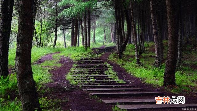 成年人的世界里 人与人之间的相处,看似简单,实则很复杂