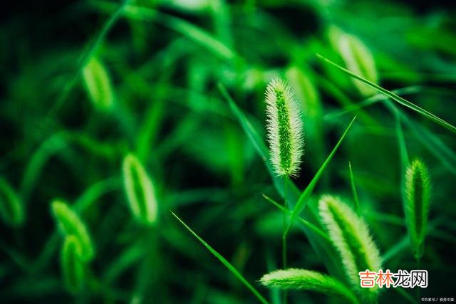 很多人以为 作为女人,倘若彼此相爱,你就好好珍惜这份爱