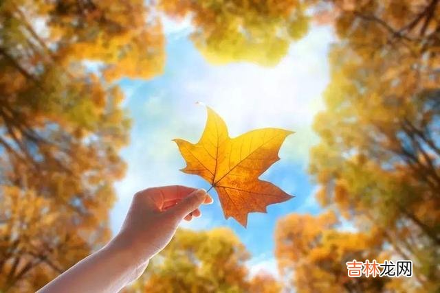 不知道大家还记不记得 作为成年人，我们永远不要抱怨自己的父母
