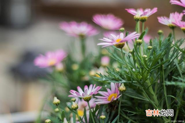 一个真心爱过你的女人,即便分手了,也不会把你忘记