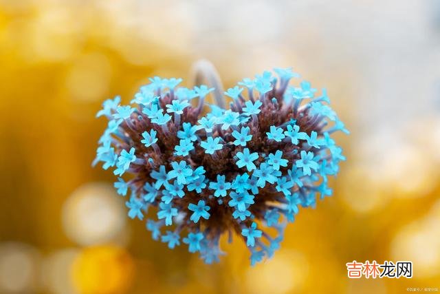 一个真心爱过你的女人,即便分手了,也不会把你忘记