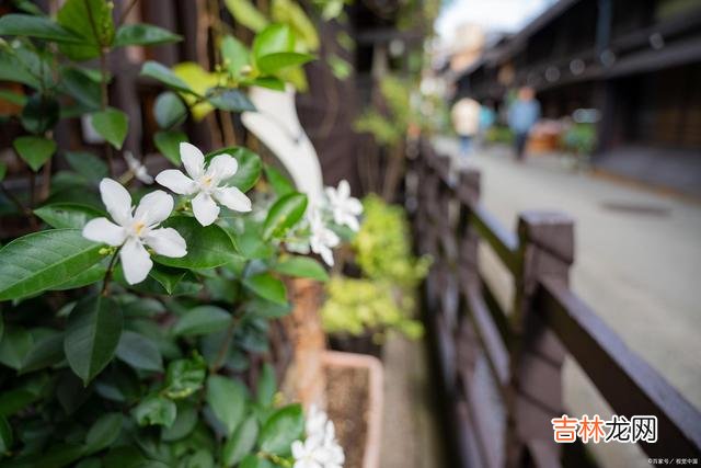 一个真心爱过你的女人,即便分手了,也不会把你忘记