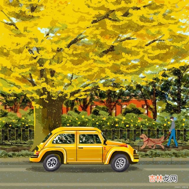 恋爱 只有把爱,留给值得爱的人,才是最明智的