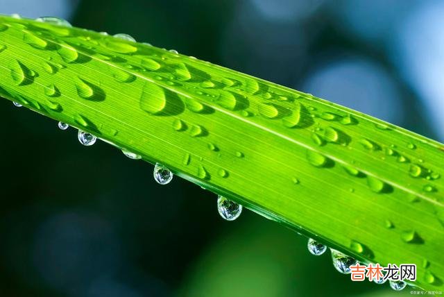 学得一技之长,才会活得不卑不亢,才能让自己的人生,足够闪耀!