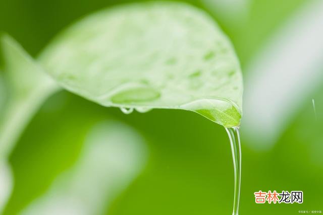 学得一技之长,才会活得不卑不亢,才能让自己的人生,足够闪耀!