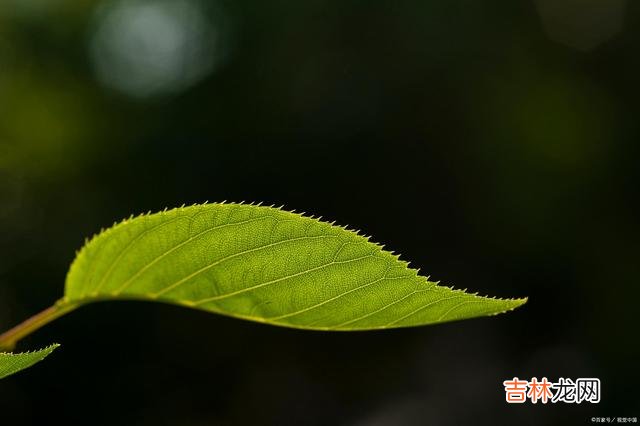 学得一技之长,才会活得不卑不亢,才能让自己的人生,足够闪耀!