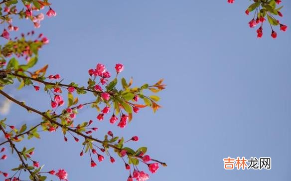 生活 你要做的不是拒绝，而是相信这一切，是最好的安排