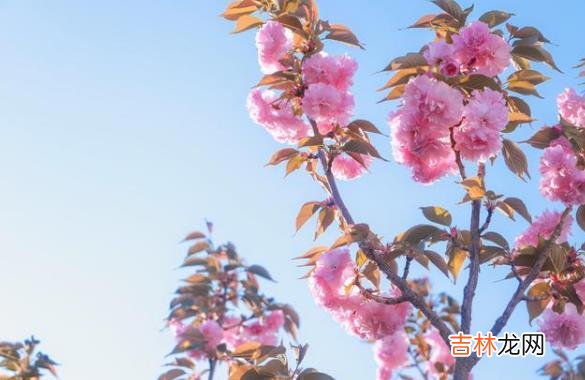 生活 你要做的不是拒绝，而是相信这一切，是最好的安排
