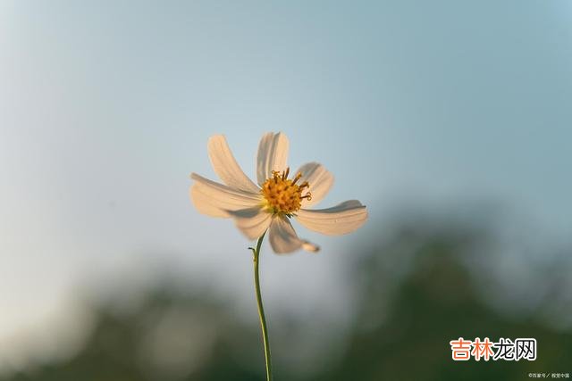 01人这一生烦恼何止三千 原来人生最大的成就，就是活得开心，过得安心