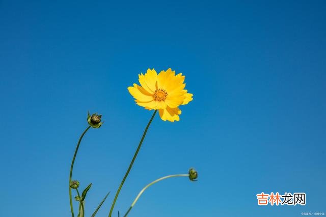 01人这一生烦恼何止三千 原来人生最大的成就，就是活得开心，过得安心