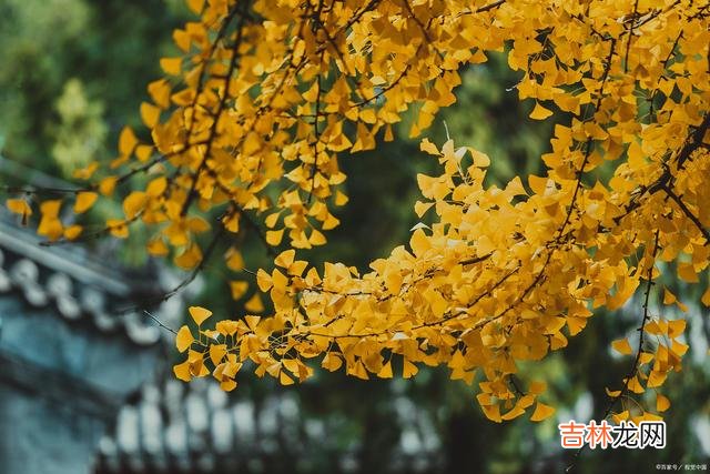 知乎上 承认别人的优秀，不仅不丢人，还会给自己带来帮助