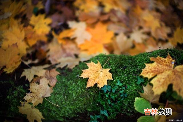 知乎上 承认别人的优秀，不仅不丢人，还会给自己带来帮助