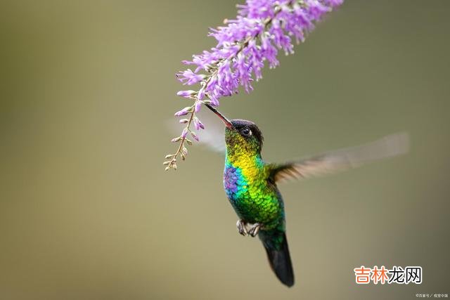 忙忙碌碌了一辈子 没有找准自己行动的定位，其实就是瞎忙活