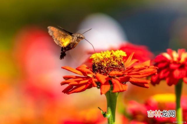 忙忙碌碌了一辈子 没有找准自己行动的定位，其实就是瞎忙活